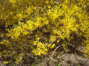 共同工作的句子共同工作的句子2