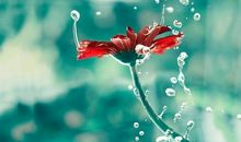 过着不开心的生活的句子 形容生活过得不开心的句子