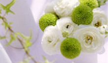 无忧无虑开心耍的句子 无忧无虑的经典句子