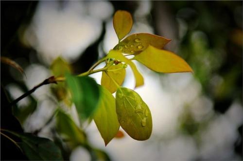 15个使您的女朋友快乐的句子幽默的爱情词，使您的女朋友快乐1