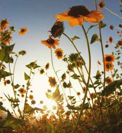 句子描述快乐的旅行心情句子描述快乐的旅行心情2