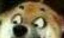 好友喝酒的文艺句子