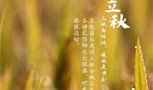 立秋幽默问候语