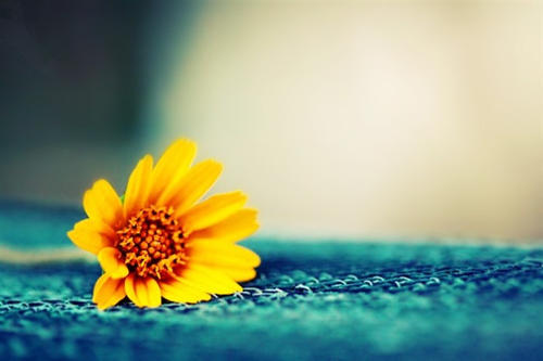 让孩子与父母快乐的句子