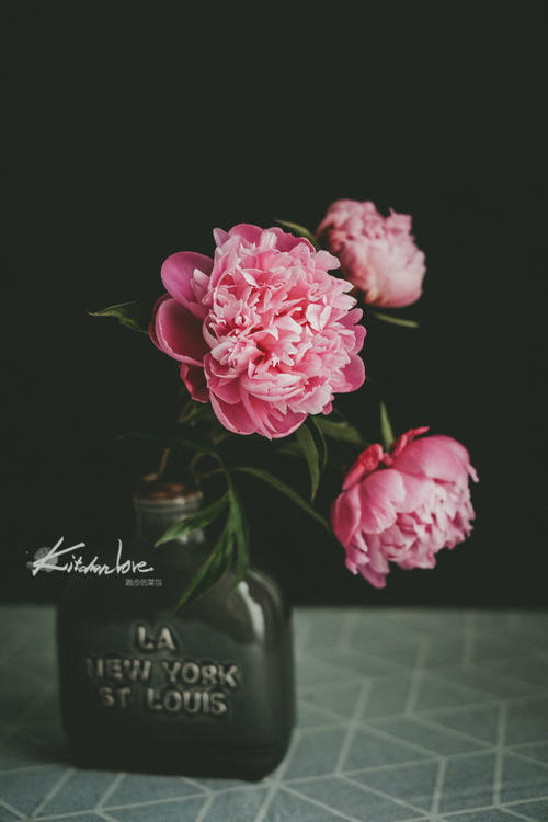 让孩子与父母快乐的句子2