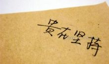 感情哲理句子是