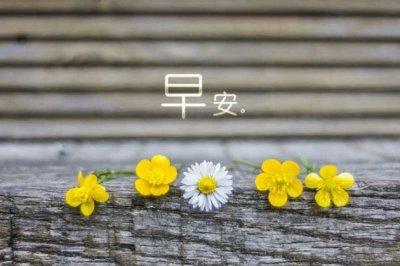 谈论明天工作中的积极能量