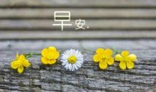 明天上班的正能量说说