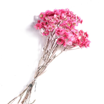 用来描述接受礼物的幸福的句子，谈论接受生日礼物的心情