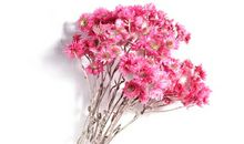 形容收到礼物的开心的句子 收到生日礼物的心情说说