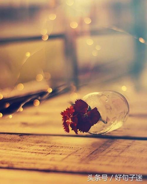 快乐的简短句子