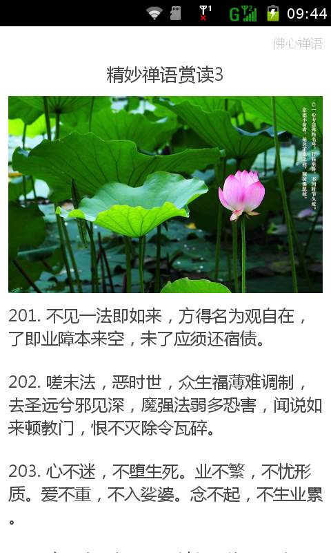 一花一世界佛陀禅