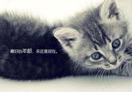 关于工作场所的复杂讨论