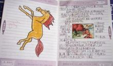 优美爱情语段摘抄大全