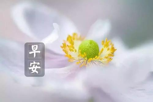 早上好英语句子