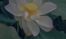 积极向上阳光励志短语 积极乐观的励志语录