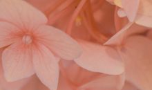 适合发朋友圈的正能量短句 朋友圈励志说说