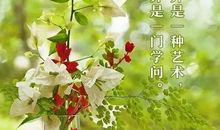 四月早安温馨祝福语