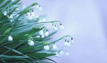 空间发说说开心的句子 开心发空间的句子简短