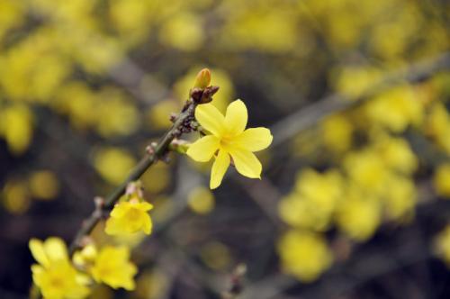 在太空中快乐的句子在太空中快乐的句子很短1