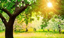 特别好的同学相聚开心句子 同学相聚开心的句子