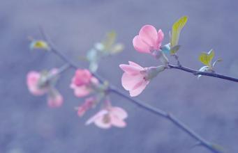 在太空中发送快乐的句子在太空中发送简短的句子2