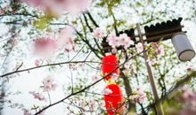 开心和快乐的古风句子 关于快乐的古风句子