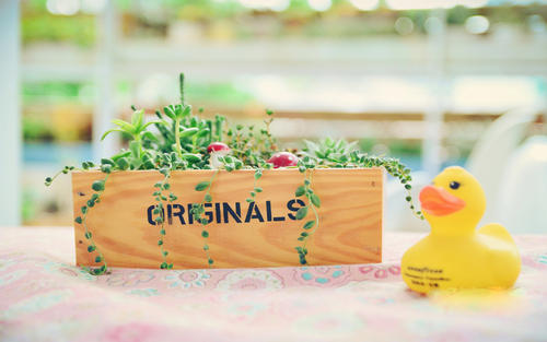 欢乐儿童游乐句欢乐儿童游乐句2