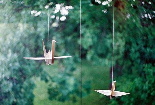 三句精妙的温柔句子，一句尖锐的句子