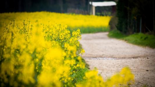 经典的快乐句子，幽默的句子1