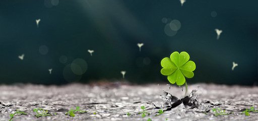 只要你快乐,句子就好