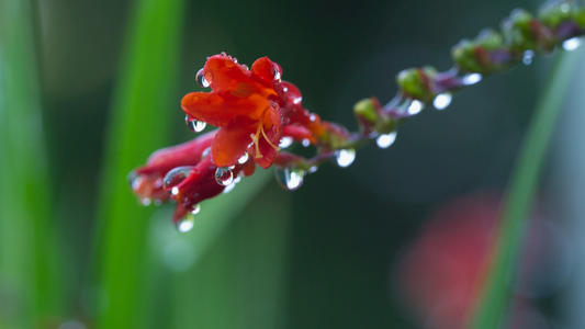 只要快乐,句子就很好,而当下幸福就可以。 1个