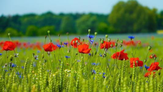 描述加班快乐2的句子