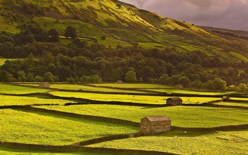 描述加班快乐的句子