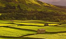 形容加班开心的句子 加班奋斗的句子