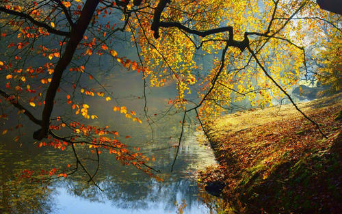 关于夏天玩水的句子，谈论玩水的心情1