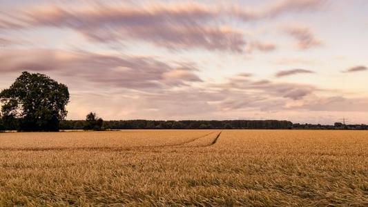 什么是最快乐的句子?幸福快乐的句子2