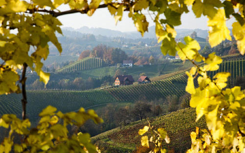 晚安快乐的句子晚安快乐的句子