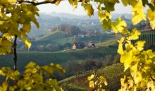 快乐开心说晚安的句子 开心的晚安句子大全