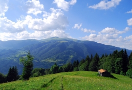 开心就可以的句子