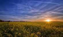 要活的潇洒开心的句子 形容生活快乐潇洒句子