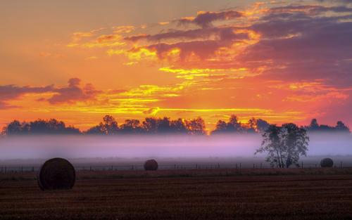 生活快乐而快乐的句子