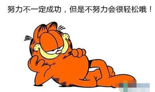 别人的成功是一个特例，因此您可以停止努力吗？