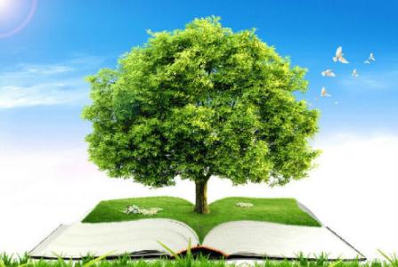 如果没有设定极限,生活将有更多的可能性