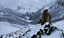 “您拨打的电话暂时无人接听，请稍候再拨……”×32=一夜无眠