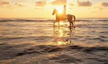 有多少理想还在路上