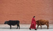 你围着一件事转到地老天荒，世界才会围着你转