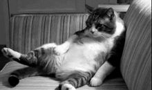 无聊，是年轻人的绝症