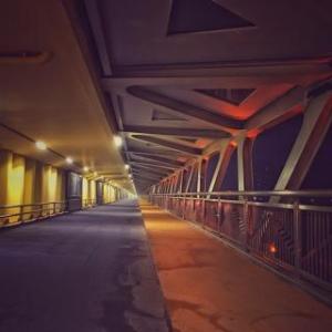 你不愿意跌倒,但你不进取