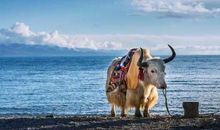 改写命运，需要多长时间？